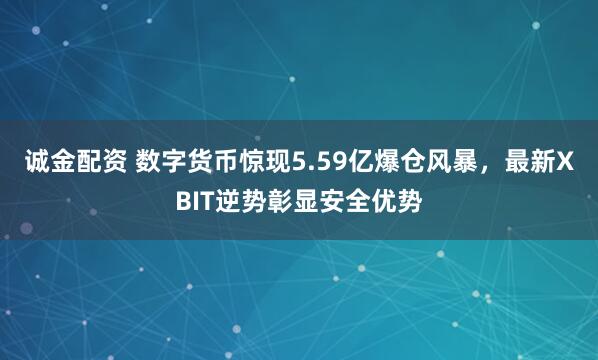 诚金配资 数字货币惊现5.59亿爆仓风暴，最新XBIT逆势彰显安全优势