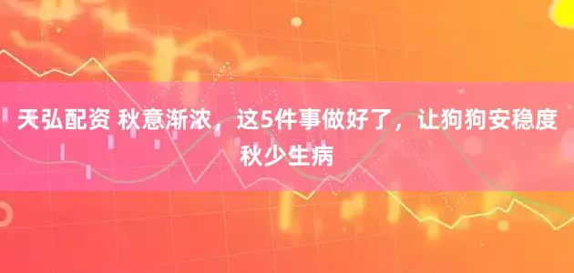 天弘配资 秋意渐浓，这5件事做好了，让狗狗安稳度秋少生病
